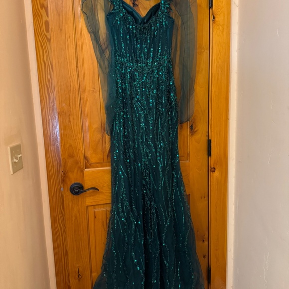 Formal Dress - Picture 4 of 6